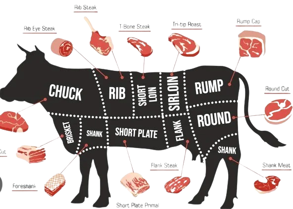 WhatsApp_Image_2024-01-26_at_7.14.32_PM-removebg-preview