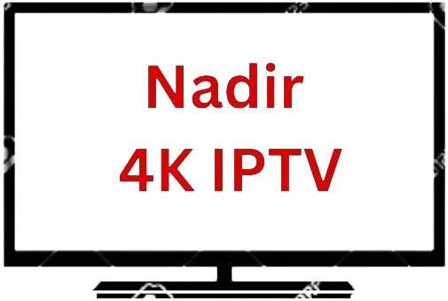 WhatsApp_Image_2024-01-26_at_7.14.32_PM__20_-removebg-preview